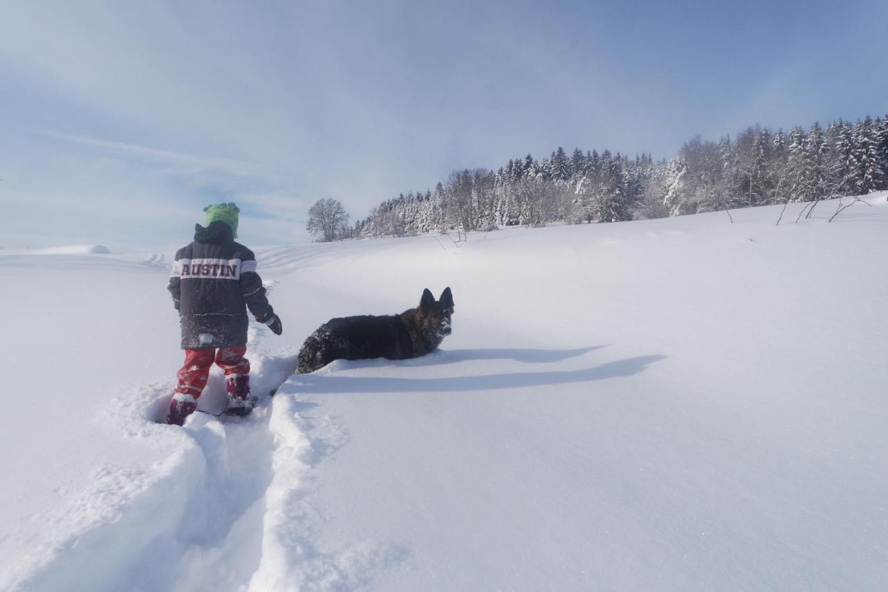 Alb Chalet Messstetten Eksteriør bilde